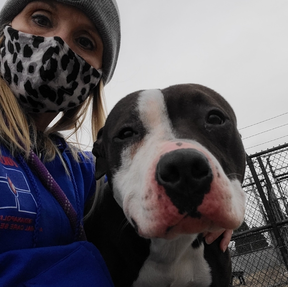 Meet your Posher, Lisa - Picture 4 of 8